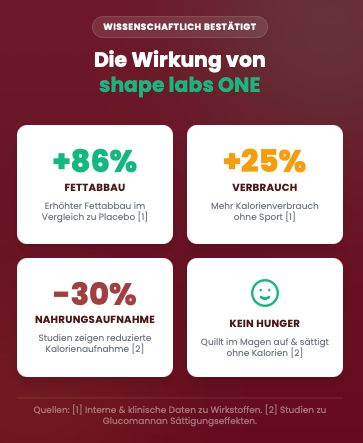 Das Gründerteam & Founder von shape labs