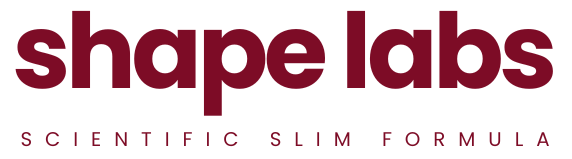 Shape Labs